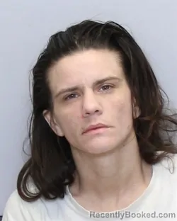 Mugshot of LEIGH ANN LOCKLEAR