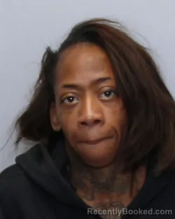 Mugshot of LESLIE ANNETTE RANDOLPH booked in Guilford County, North Carolina on March 29, 2026