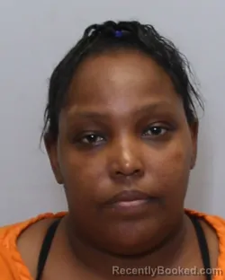 Mugshot of MIRANDA SHANAE HILL booked in Guilford County, North Carolina on March 27, 2026