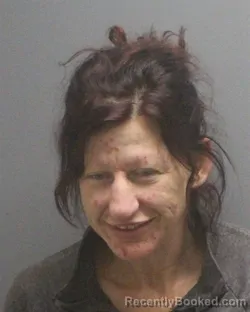 Mugshot of Megan Paula Larson booked in Guilford County, North Carolina on August 31, 2026