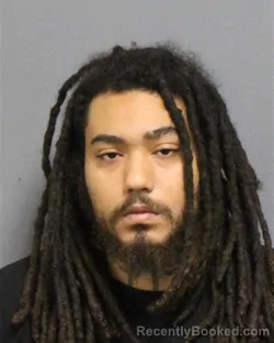 Mugshot of MICHAEL SHANNON LOUGH