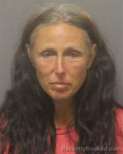 Mugshot of Meredith Miller Madison booked in Guilford County, North Carolina on September 10, 2026
