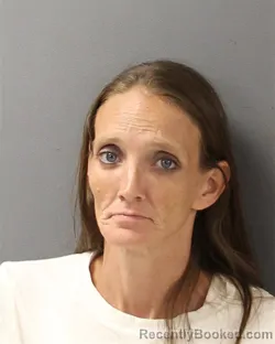 Mugshot of MICHELLE DAWN PRITCHARD booked in Guilford County, North Carolina on June 25, 2026
