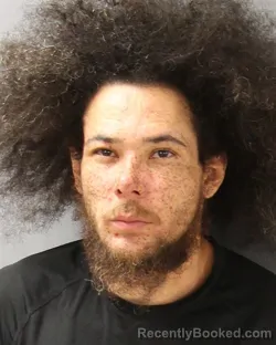 Mugshot of MARTIN ALEXANDER TAYLOR-BOYD