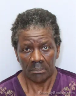 Booking photo from Guilford County, North Carolina