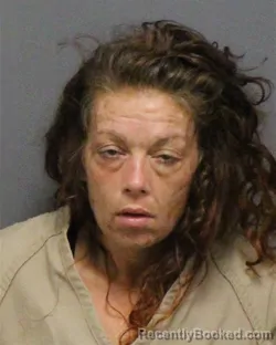 Mugshot of ROXANNE NICOLE EPLIN booked in Guilford County, North Carolina on July 13, 2026