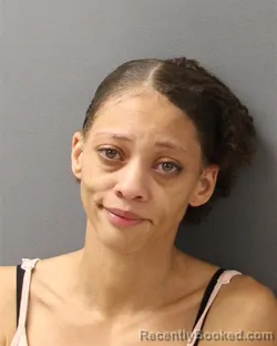 Mugshot of RAINEE ANN LOWMAN booked in Guilford County, North Carolina on July 13, 2026