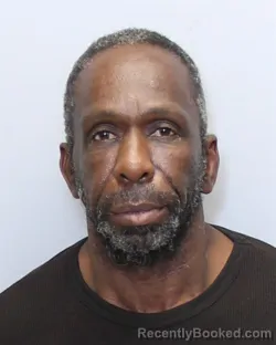 Mugshot of ROBBIE AVALON ROBERTS