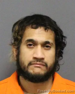 Mugshot of RAMON ASTUL SOLANO