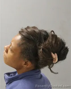 Mugshot of ROBTRICE LATOYA SULLIVAN booked in Guilford County, North Carolina on March 26, 2026