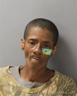 Mugshot of STACY RENEE DORSETTE booked in Guilford County, North Carolina on July 2, 2026