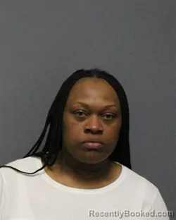 Mugshot of SHERI SUZANNE FLEMING booked in Guilford County, North Carolina on May 23, 2026