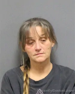 Mugshot of SHERYL LYNN PORTER booked in Guilford County, North Carolina on March 14, 2026