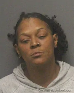 Mugshot of STEPHANIE KAY SUMMERS booked in Guilford County, North Carolina on March 14, 2026