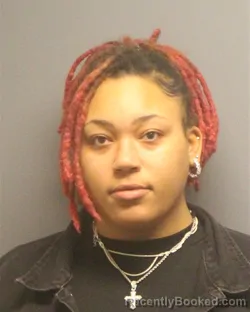 Mugshot of SIERRA RENEE SLOAN-LINDSAY booked in Guilford County, North Carolina on March 14, 2026