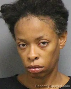 Mugshot of STEPHVONIA MOET WILLIAMSON booked in Guilford County, North Carolina on July 14, 2026