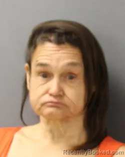 Mugshot of TERRI ANN COLLINS