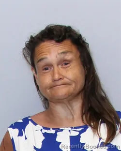 Mugshot of TERRI ANN COLLINS booked in Guilford County, North Carolina on June 26, 2026