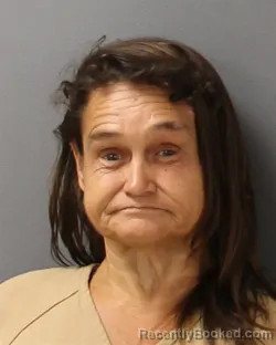 Mugshot of Terri Ann Collins booked in Guilford County, North Carolina on July 27, 2026