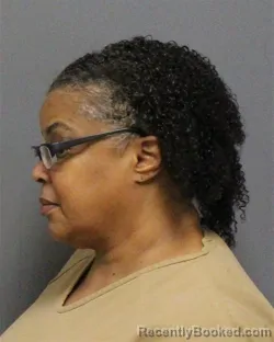 Mugshot of TERRI DENISE COLSON