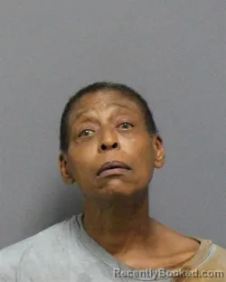 Mugshot of Tammy Renee Cheek booked in Guilford County, North Carolina on September 3, 2026