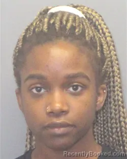 Mugshot of THERESA NSIMIRE NKIDIAKA booked in Guilford County, North Carolina on March 24, 2026