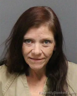 Mugshot of TAMMY COOK TODD booked in Guilford County, North Carolina on June 17, 2026
