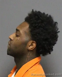 Mugshot of TYSEAN WILLIAMSON