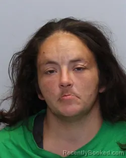 Mugshot of TANA KIRKLAND WALCK booked in Guilford County, North Carolina on March 25, 2026