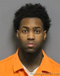 Mugshot of TYSEAN TAJ WILLIAMSON