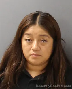 Mugshot of Viridiana Gonzalez Garcia booked in Guilford County, North Carolina on September 4, 2026