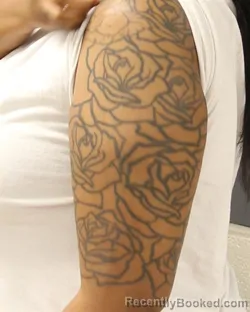 Mugshot of VENTRA GAYBREALLE YOUNG