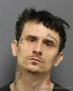 Mugshot of WYATT RAY BRANSON
