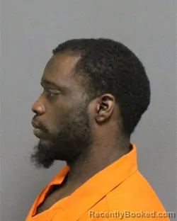 Mugshot of WILLIAM LAMONT MITCHELL