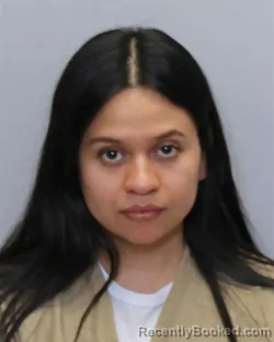 Mugshot of YANETH FLORES-DOMINGUEZ
