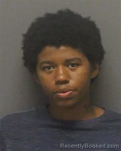 Mugshot of ZHASIA CHANEL DEMEKA GORHAM booked in Guilford County, North Carolina on July 6, 2026