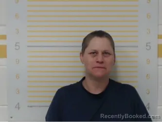 Mugshot of Brandi Anderson