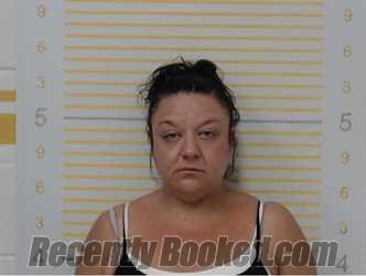 Booking photo from Randolph County, Illinois