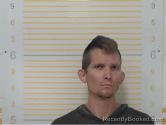 Mugshot of Jerry Brenning booked in Randolph County, Illinois on April 7, 2026