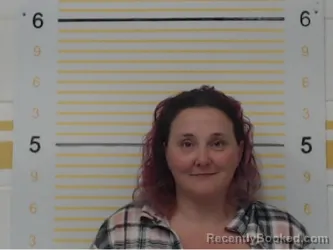 Mugshot of Lisa Boitano booked in Randolph County, Illinois on April 28, 2026
