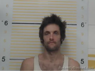 Mugshot of Jared Davis booked in Randolph County, Illinois on May 11, 2026