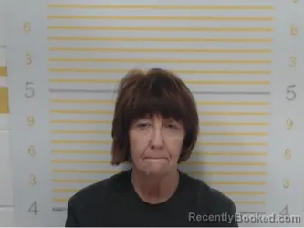 Mugshot of Sheila Dawson booked in Randolph County, Illinois on April 12, 2026