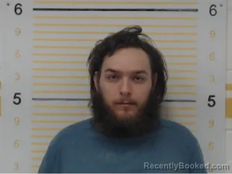 Mugshot of Nicholas Gregory booked in Randolph County, Illinois on June 8, 2026
