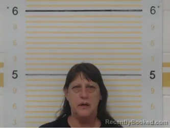 Mugshot of Pamela Greer booked in Randolph County, Illinois on August 20, 2026