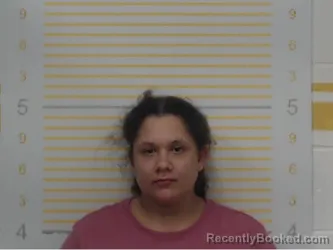 Mugshot of Chyanne Haslett