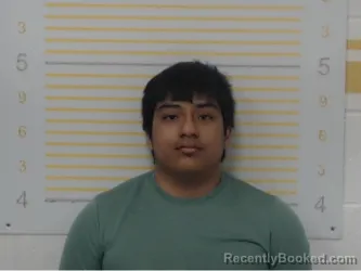 Mugshot of Luke Hamm