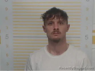 Booking photo from Randolph County, Illinois