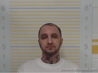 Mugshot of Brent Lee