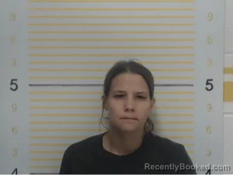 Mugshot of Krystal Loucks booked in Randolph County, Illinois on July 28, 2026