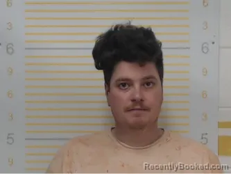 Mugshot of Jonathan Mifflin booked in Randolph County, Illinois on April 2, 2026